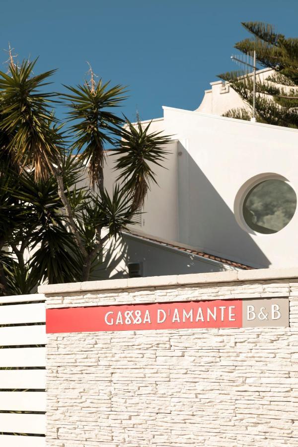 B&B Gassa D'Amante Vieste Kültér fotó