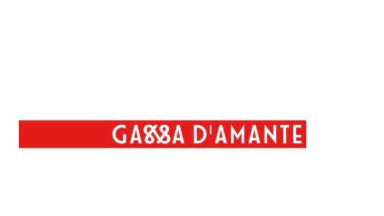 B&B Gassa D'Amante Vieste Kültér fotó